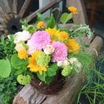 季節のアレンジメント｜「花安」　（和歌山県和歌山市の花キューピット加盟店 花屋）のブログ