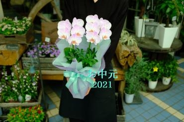 お中元用のお花｜「花安」　（和歌山県和歌山市の花キューピット加盟店 花屋）のブログ